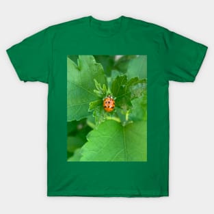 Red ladybug T-Shirt